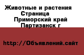  Животные и растения - Страница 14 . Приморский край,Партизанск г.